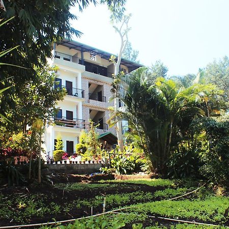 Coorg Jungle Camp Resort Suntikoppa エクステリア 写真