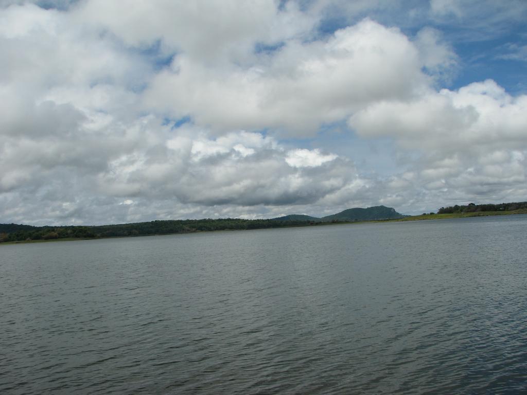 Coorg Jungle Camp Resort Suntikoppa エクステリア 写真