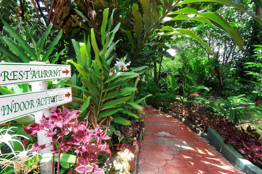Coorg Jungle Camp Resort Suntikoppa エクステリア 写真
