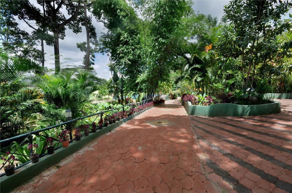 Coorg Jungle Camp Resort Suntikoppa エクステリア 写真