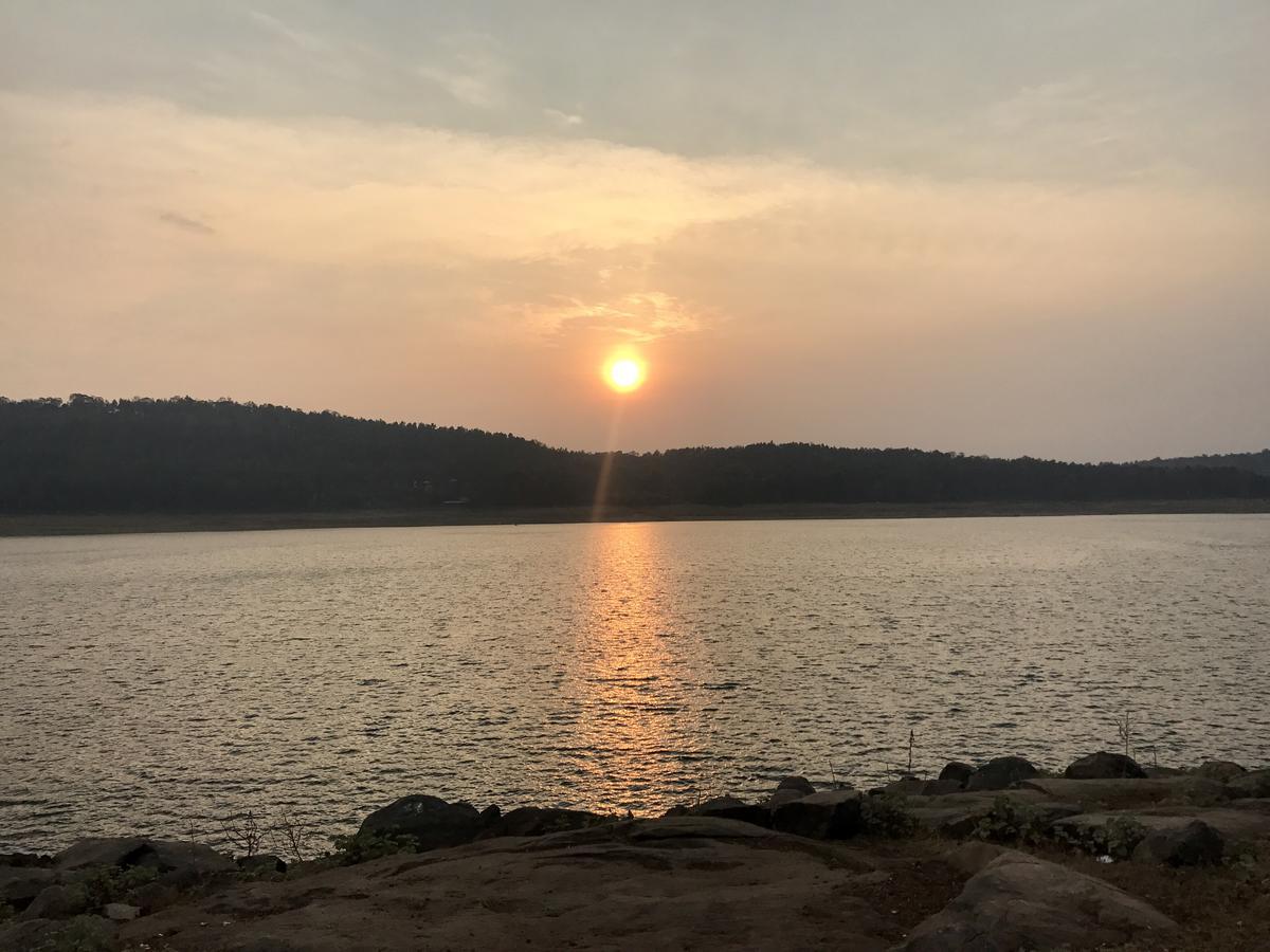 Coorg Jungle Camp Resort Suntikoppa エクステリア 写真